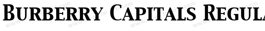 Burberry Capitals Regula字体转换